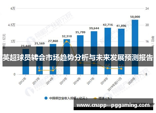 英超球员转会市场趋势分析与未来发展预测报告 英超球员转会市场趋势分析与未来发展预测报告