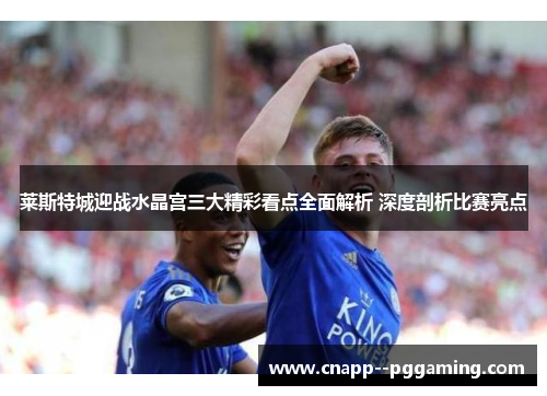 莱斯特城迎战水晶宫三大精彩看点全面解析 深度剖析比赛亮点