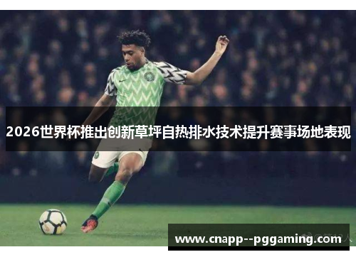 2026世界杯推出创新草坪自热排水技术提升赛事场地表现 2026世界杯推出创新草坪自热排水技术提升赛事场地表现