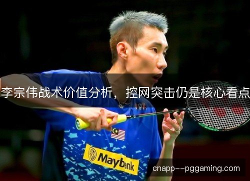 李宗伟战术价值分析，控网突击仍是核心看点