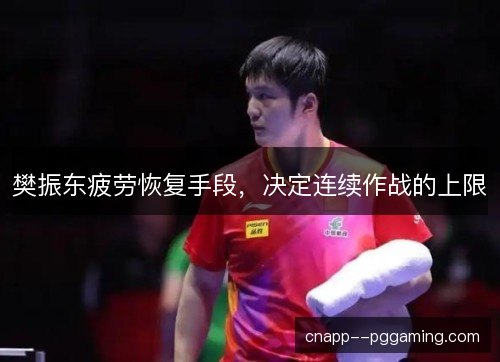 樊振东疲劳恢复手段，决定连续作战的上限